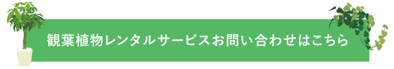 観葉植物レンタルサービスお問い合わせはこちら