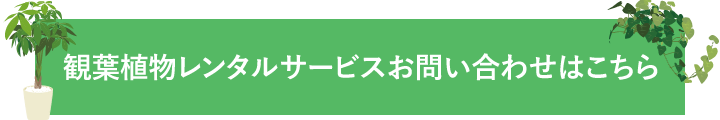 観葉植物レンタルサービスお問い合わせはこちら